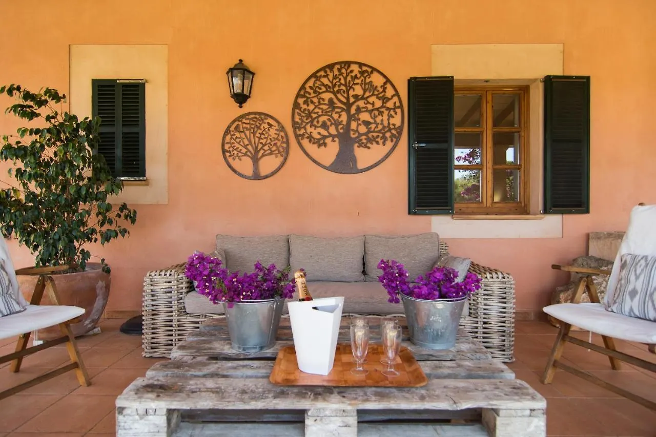 Villa Son Parera Muro 0*,