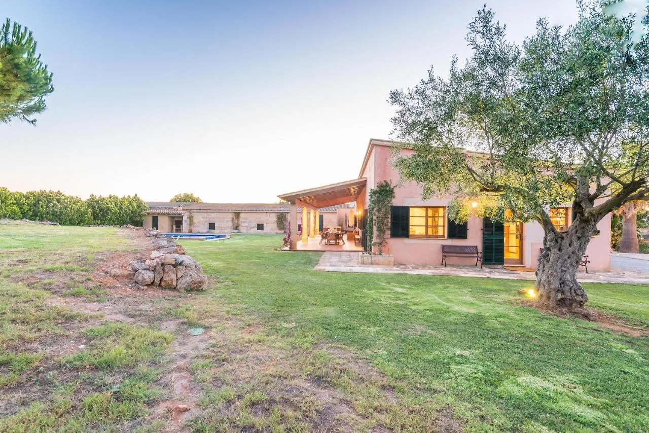 Villa Son Parera Муро